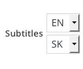 Multilingual Video Subtitles