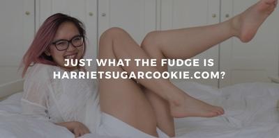 How HarrietSugarcookie.com saved $3000/month by abandoning AWS for a dedicated file server and video CDN