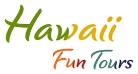 hawaii-fun-tours.jpg