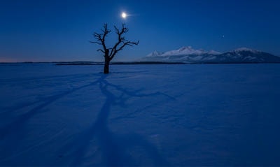 Symphony of the Night