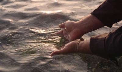 Grain of Hope
