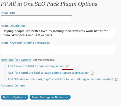 FV All in One SEO keywords option 1