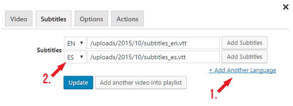 Multiple language subtitles