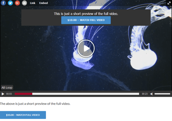 The player launches the preview video