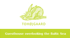 tohojgaard-tohoejgaard.com-1.png